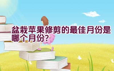 盆栽苹果修剪的最佳月份是哪个月份？插图