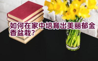 如何在家中培育出美丽郁金香盆栽？插图