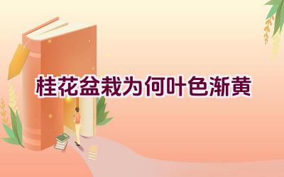 桂花盆栽为何叶色渐黄插图