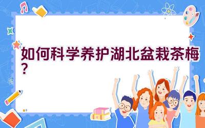 如何科学养护湖北盆栽茶梅？插图