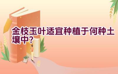 金枝玉叶适宜种植于何种土壤中？插图