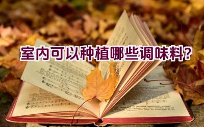 室内可以种植哪些调味料？