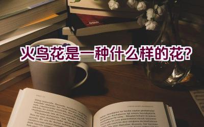 火鸟花是一种什么样的花？插图