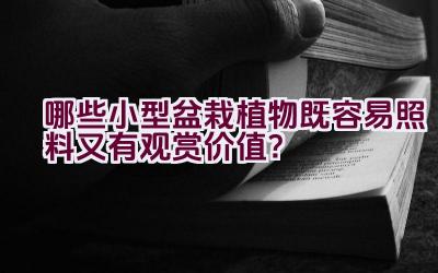 哪些小型盆栽植物既容易照料又有观赏价值？