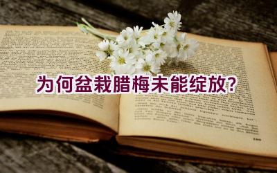 为何盆栽腊梅未能绽放？插图