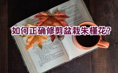 如何正确修剪盆栽朱槿花？插图