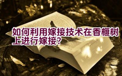 如何利用嫁接技术在香榧树上进行嫁接？插图
