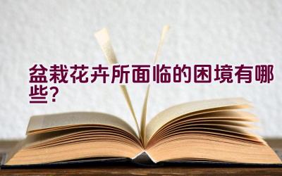盆栽花卉所面临的困境有哪些？插图