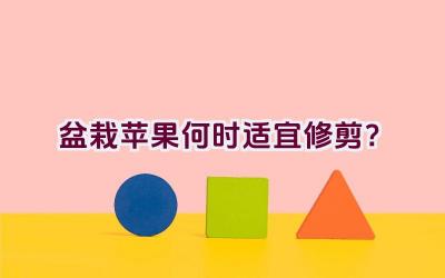 盆栽苹果何时适宜修剪？插图