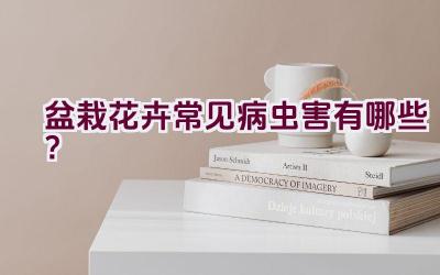 盆栽花卉常见病虫害有哪些？插图