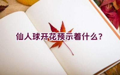 仙人球开花预示着什么？