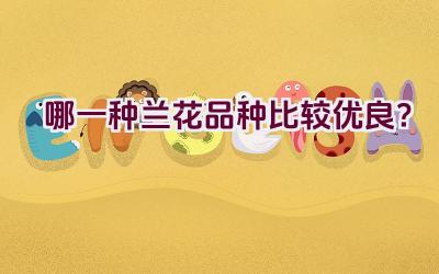 哪一种兰花品种比较优良？插图