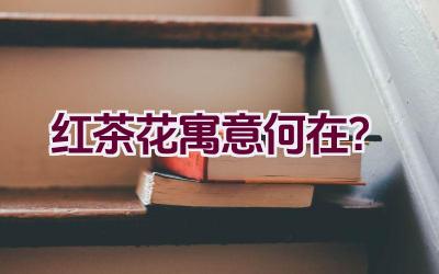 红茶花寓意何在？插图