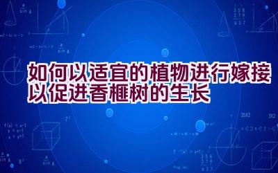 如何以适宜的植物进行嫁接以促进香榧树的生长插图