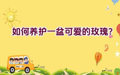 如何养护一盆可爱的玫瑰？插图
