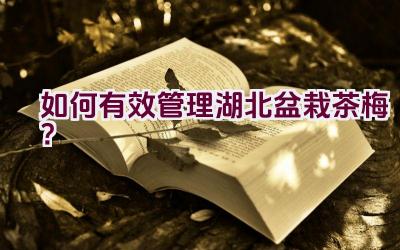如何有效管理湖北盆栽茶梅？插图