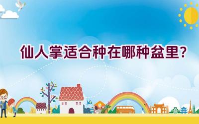 仙人掌适合种在哪种盆里？插图