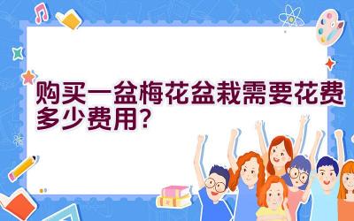 购买一盆梅花盆栽需要花费多少费用？插图