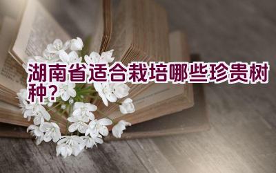 湖南省适合栽培哪些珍贵树种？