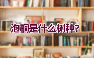 泡桐是什么树种？插图