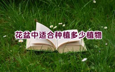 花盆中适合种植多少植物插图
