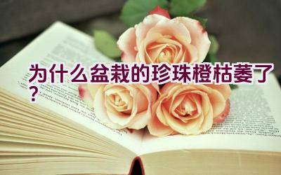 为什么盆栽的珍珠橙枯萎了？插图