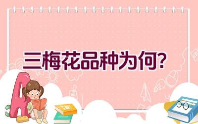 三梅花品种为何？插图