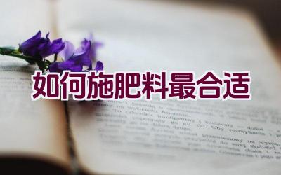 如何施肥料最合适插图