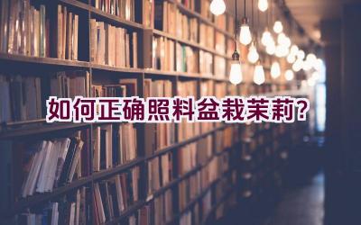 如何正确照料盆栽茉莉？插图