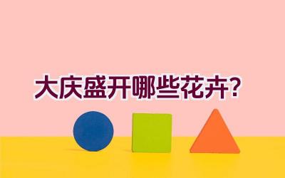 大庆盛开哪些花卉？插图