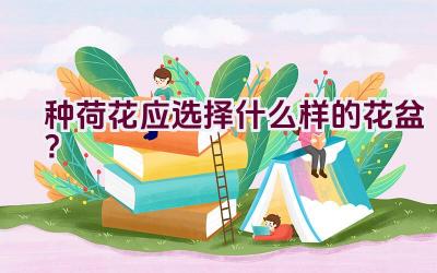 种荷花应选择什么样的花盆？插图