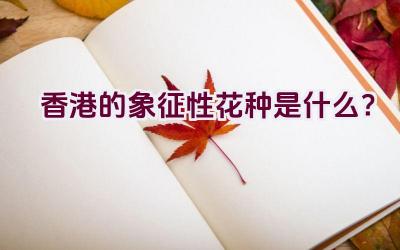 香港的象征性花种是什么？插图