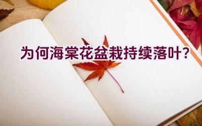 为何海棠花盆栽持续落叶？插图