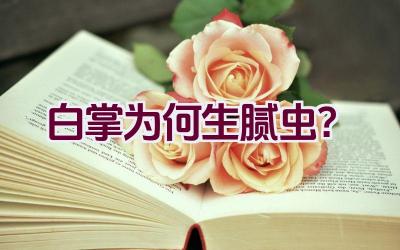 “白掌为何生腻虫？”插图
