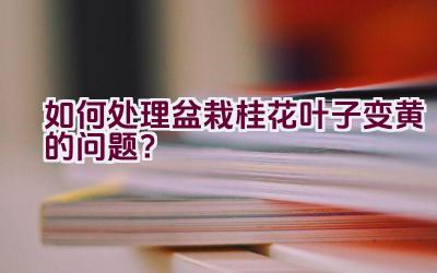 如何处理盆栽桂花叶子变黄的问题？插图
