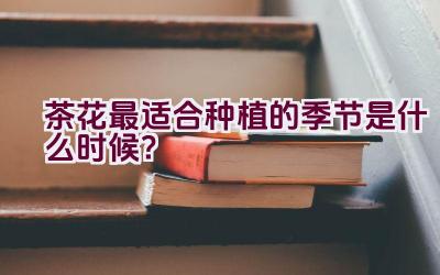 茶花最适合种植的季节是什么时候？插图