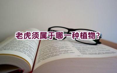 老虎须属于哪一种植物？插图