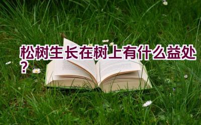 松树生长在树上有什么益处？插图