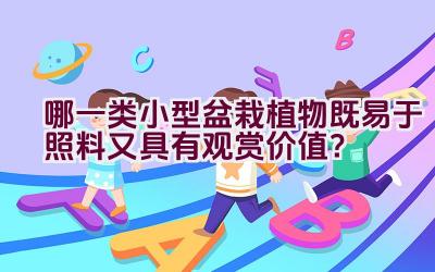 哪一类小型盆栽植物既易于照料又具有观赏价值？插图