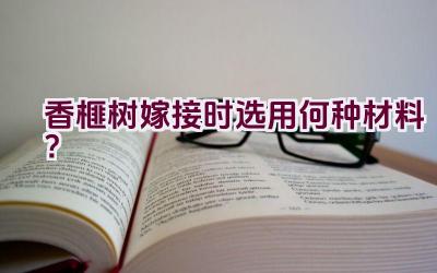 香榧树嫁接时选用何种材料？插图