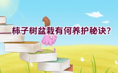 柿子树盆栽有何养护秘诀？插图