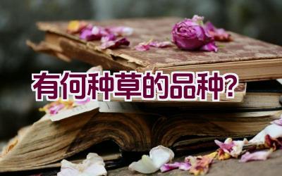 有何种草的品种？插图