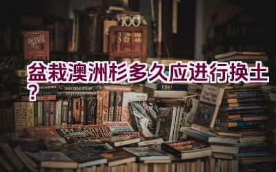 盆栽澳洲杉多久应进行换土？插图