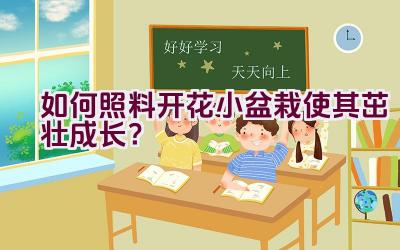 如何照料开花小盆栽使其茁壮成长？插图
