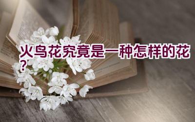 火鸟花究竟是一种怎样的花？