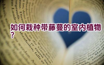 如何栽种带藤蔓的室内植物？插图