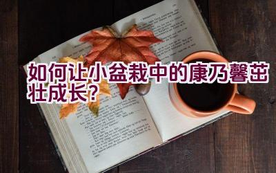 如何让小盆栽中的康乃馨茁壮成长？插图