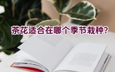 茶花适合在哪个季节栽种？插图
