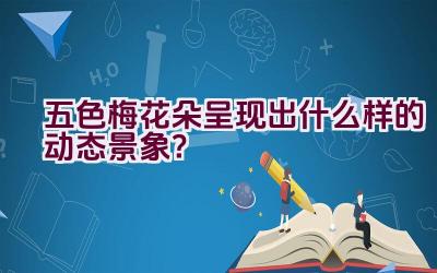 五色梅花朵呈现出什么样的动态景象？插图