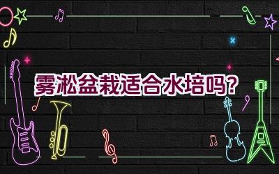 雾凇盆栽适合水培吗？插图